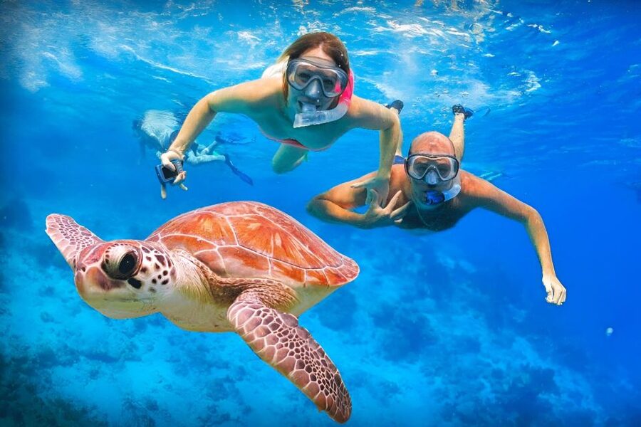 Bali: Snorkeling on 2 spots with Lunch and Transport - Price and value: what $51 buys you in real terms