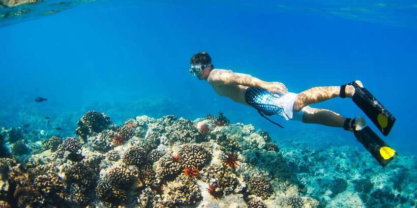 Bali: Snorkeling on 2 spots with Lunch and Transport - Who should book this snorkeling package, and who should skip it