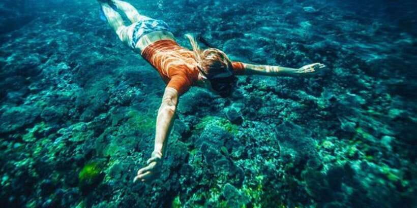 Bali: Snorkeling on 2 spots with Lunch and Transport - Should you book Bali Authentic Tours for Blue Lagoon and Tanjung Jepun?