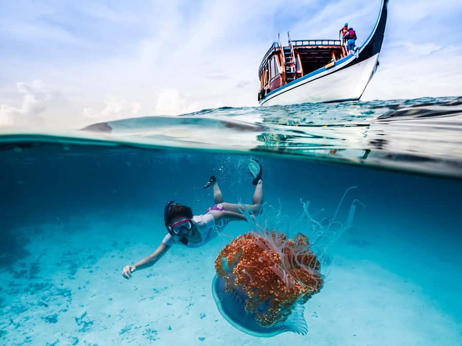 Bali: Ubud ATV and Blue Lagoon Snorkeling Tour with Lunch - Key things I’d bet on before you book