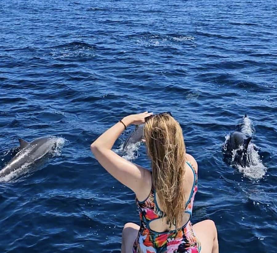 Bali: Watching Dolphin, Swimming & Snorkeling Tour - Lovina at Sunrise: Why This Morning Feels Different