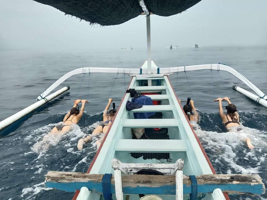 Bali: Watching Dolphin, Swimming & Snorkeling Tour - Snorkeling After the Dolphins: What You’re Likely to See