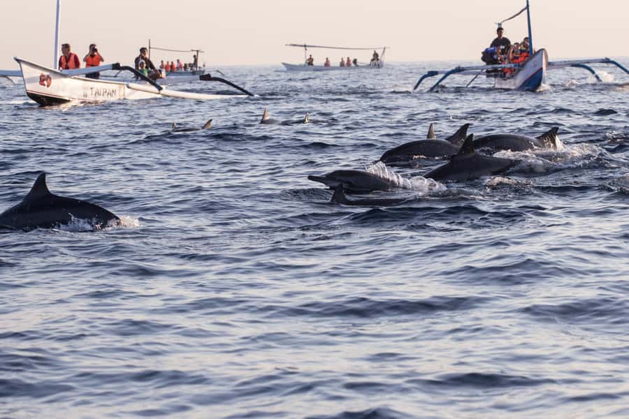 Bali: Watching Dolphin, Swimming & Snorkeling Tour - Timing and Duration: The 4–7 Hour Window Feels Bigger Than It Looks