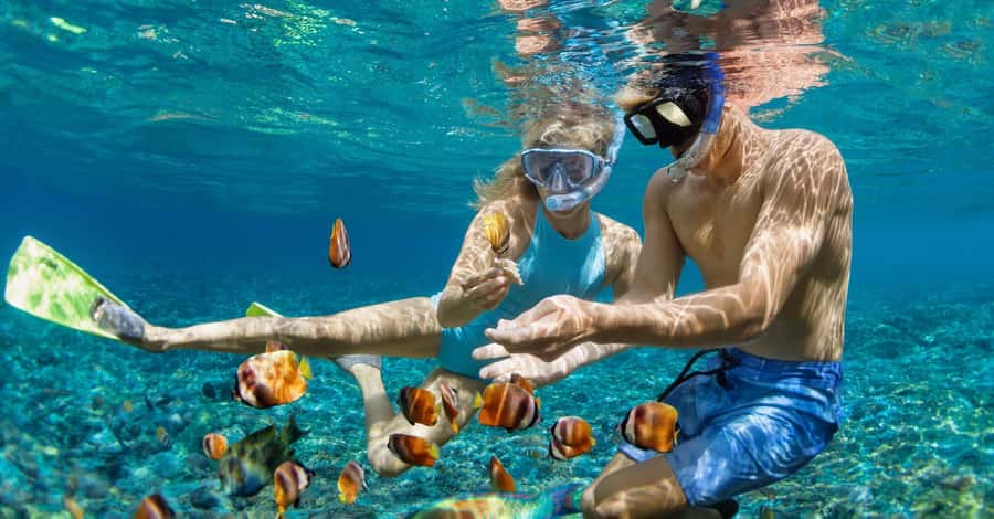 Bali: Watching Dolphin, Swimming & Snorkeling Tour - Safety and Dolphin Etiquette: What the Rules Mean for Your Experience