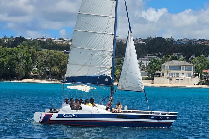 Barbados Catamaran Snorkel Cruise with Lunch and Open Bar - Snorkeling Gear, Marine Life Odds, and What You’ll Actually Notice