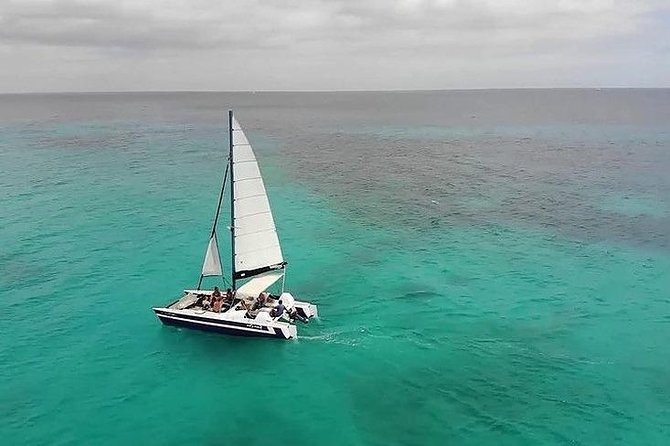 Barbados Catamaran Snorkel Cruise with Lunch and Open Bar - Carlisle Bay Snorkel Stop: Turtles and Possible Wrecks