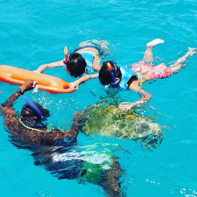 Barbados: Catamaran Tour with Snorkeling and Lunch - Stop 1: Sea turtles and an easy start in the water