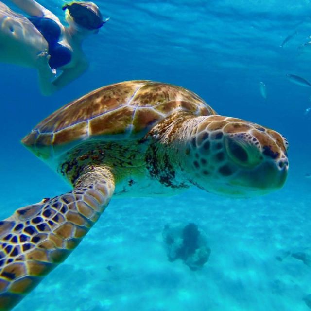 Barbados: Catamaran Tour with Snorkeling and Lunch - Sailing the West Coast: deck time, shade, and the scenery you paid for