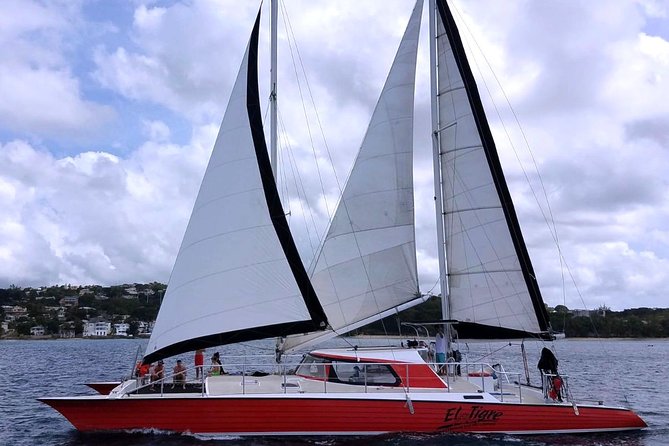 Barbados Catamaran Turtle and Shipwreck Snorkeling Cruise - Snorkeling comfort, safety, and the small rules that matter