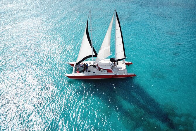 Barbados Catamaran Turtle and Shipwreck Snorkeling Cruise - Stop 1: the first 45 minutes for sea turtles and reef life