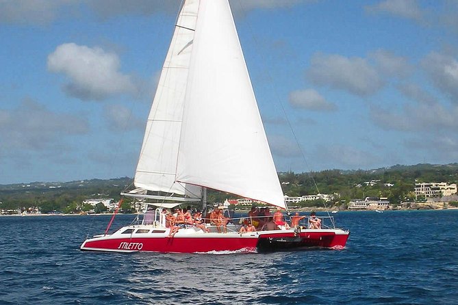 Barbados Catamaran Turtle Snorkel with Lunch and Open Bar - A calmer way to do Barbados: small group, real time in the water