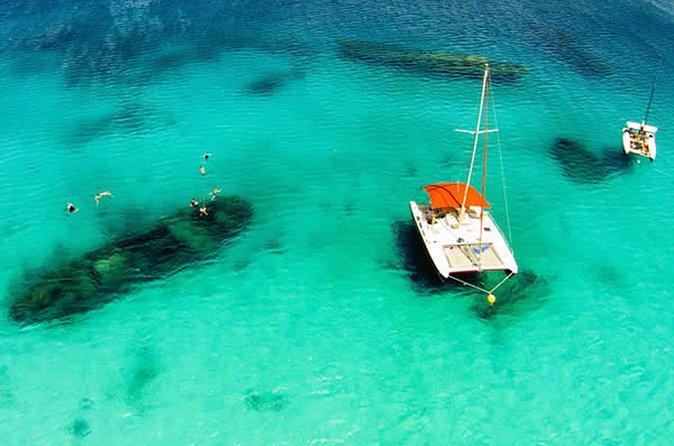 Barbados Catamaran Turtle Snorkel with Lunch and Open Bar - Crew help is the secret sauce, especially for nervous snorkelers