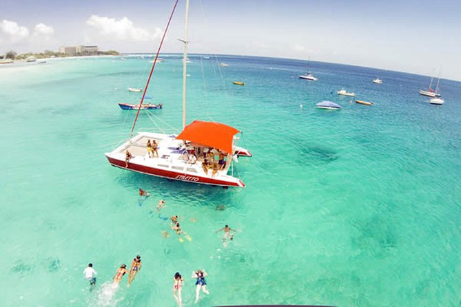 Barbados Catamaran Turtle Snorkel with Lunch and Open Bar - Carlisle Bay snorkeling: turtles first, then the sea life show
