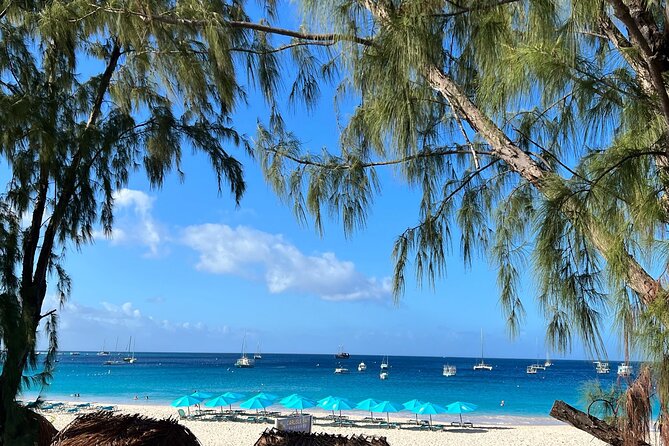 Barbados Shore Excursion Snorkel cruise and Beach Day - Waterslide and Boat Amenities: Small Extras That Change the Mood