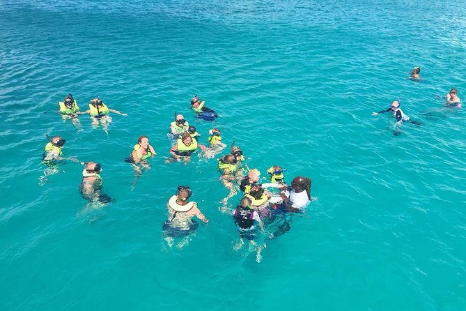 Barbados Turtle and Shipwreck Snorkel Adventure - Key highlights