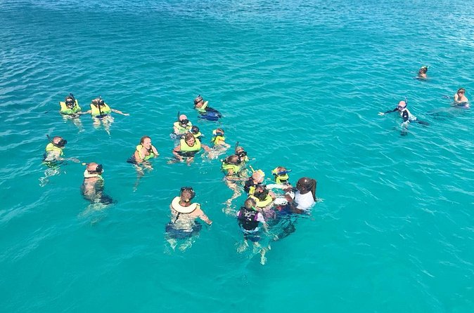 Barbados Turtle and Shipwreck Snorkel Adventure - Seeing marine life from the glass-bottom area