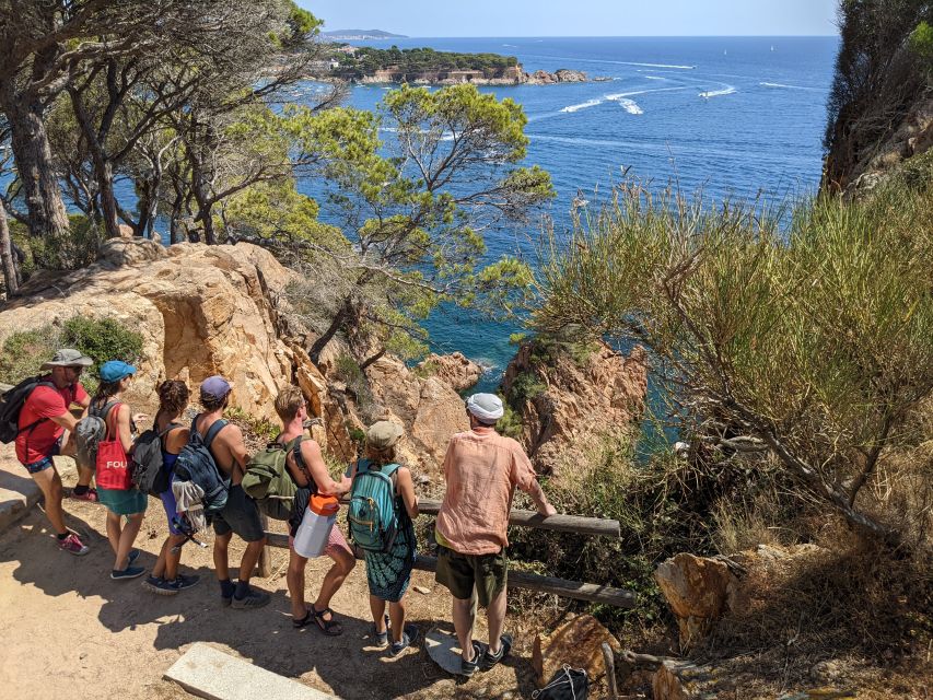 Barcelona: Costa Brava Easy Hike, Snorkel, Cliff-Jump & Meal - Price and value: what you’re really paying for at $100