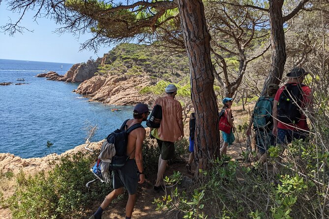 Barcelona: Costa Brava Easy Hike, Snorkel, Cliff-Jump & Meal - Snorkeling in Protected Water: Gear and Entry Included