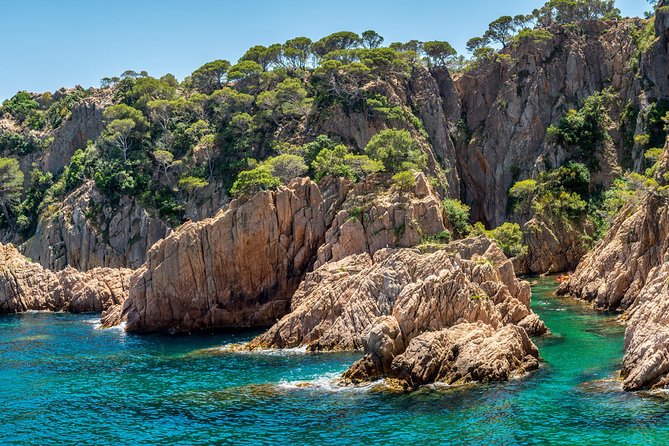 Barcelona: Costa Brava Easy Hike, Snorkel, Cliff-Jump & Meal - Optional Cliff Jumps: Thrill Level, Not Forced Risk