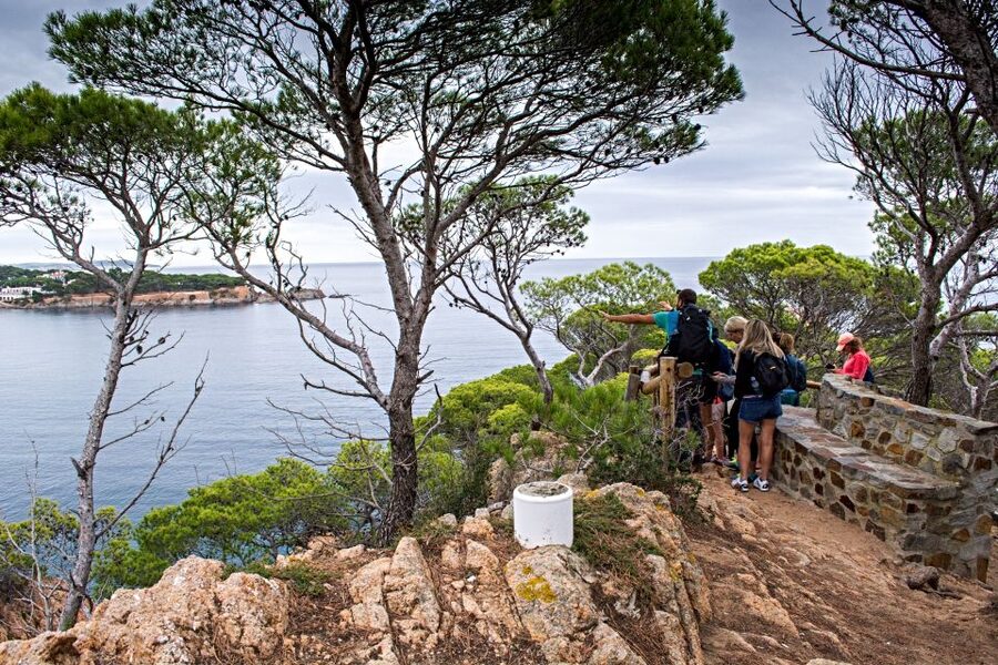 Barcelona: Costa Brava Tour with Kayak & Lagoon Snorkeling - Key Points You’ll Care About
