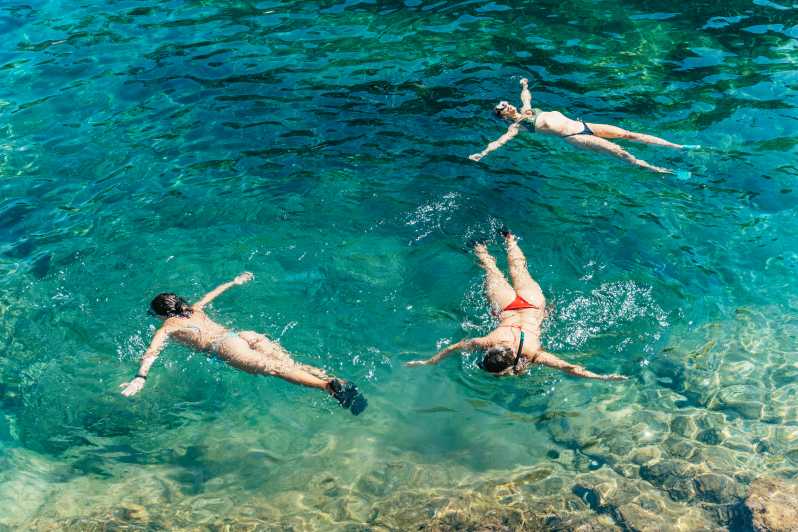 Barcelona: Tossa de Mar Kayak & Snorkel Tour w/3-Course Meal - Snorkeling and wildlife spotting in crystal-clear coves