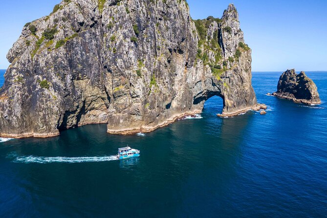 Bay of Islands Cruise & Island Tour - Snorkel, Hike,Swim,Wildlife - Key highlights worth booking for