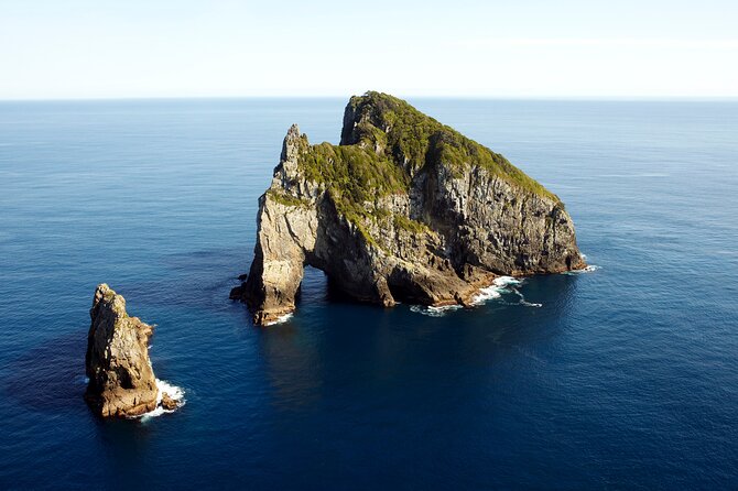 Bay of Islands Cruise & Island Tour - Snorkel, Hike,Swim,Wildlife - Bay of Islands in one package: cruise, walk, snorkel, wildlife