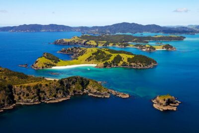 Bay of Islands Cruise & Island Tour - Snorkel, Hike,Swim,Wildlife - Roberton Island and the Twin Lagoons lookout walk