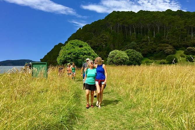 Bay of Islands Cruise & Island Tour - Snorkel, Hike,Swim,Wildlife - Snorkelling and swimming at the second island stop