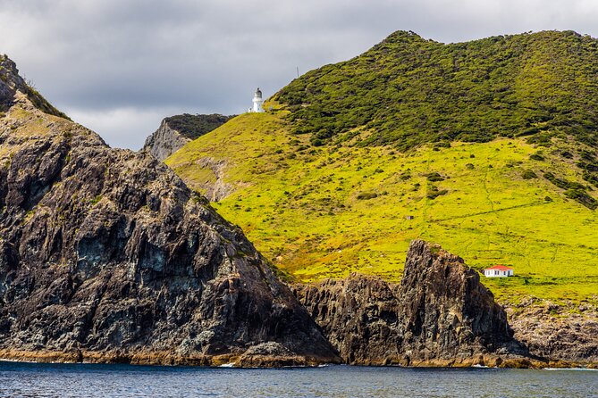 Bay of Islands Cruise & Island Tour - Snorkel, Hike,Swim,Wildlife - Guides and crew: the human factor that makes it feel personal