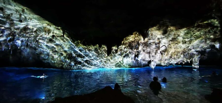 Bayahibe: National Park Jungle Walk & Snorkeling in Cenotes - Key highlights worth aiming for