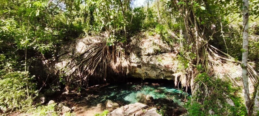 Bayahibe: National Park Jungle Walk & Snorkeling in Cenotes - Entering Chicho Cave: stairs, light, and sacred spring water