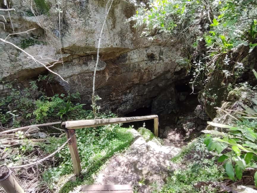 Bayahibe: National Park Jungle Walk & Snorkeling in Cenotes - The afternoon rhythm: photos, short walks, and an aperitif