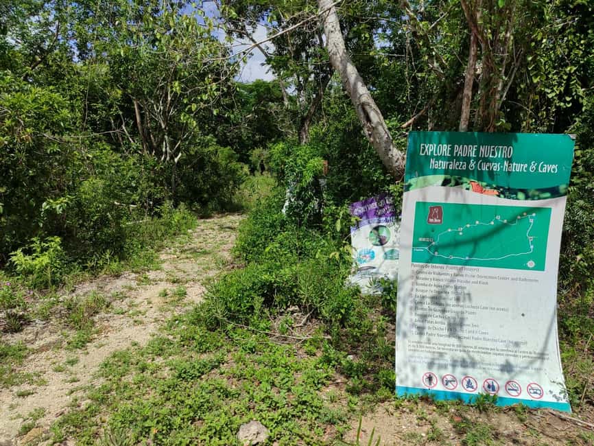 Bayahibe: National Park Jungle Walk & Snorkeling in Cenotes - Price and value: does $55 for 3 hours make sense?