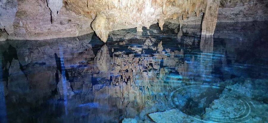 Bayahibe: National Park Jungle Walk & Snorkeling in Cenotes - Jungle walk in Cotubanamá: what you’ll notice on the trail