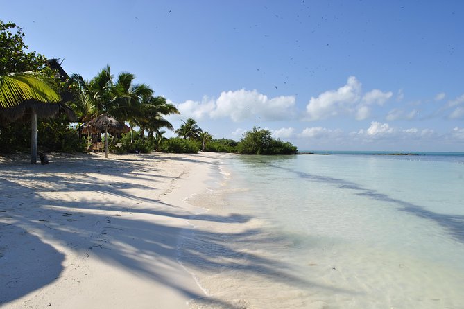 Beach Escape: Isla Contoy and Isla Mujeres with Snorkeling. - Early Pickup from Playa del Carmen: The Quiet Tradeoff