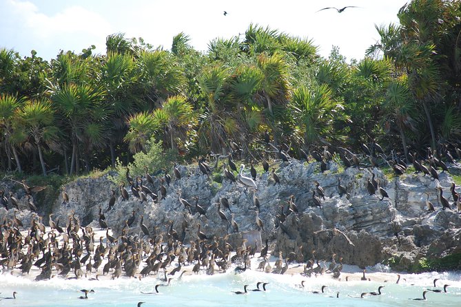 Beach Escape: Isla Contoy and Isla Mujeres with Snorkeling. - Isla Mujeres: One Hour for Shops, Ice Cream, and Beach Looks