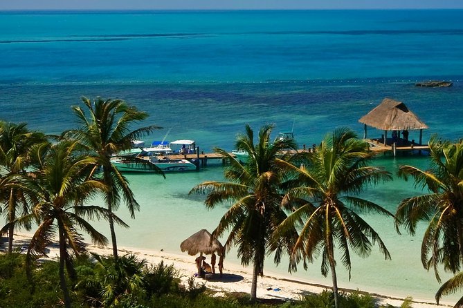 Beach Escape: Isla Contoy and Isla Mujeres with Snorkeling. - Reef Snorkeling Over the Mesoamerican Reef: What You’ll Actually Do