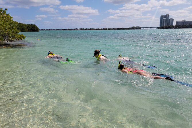 Beginner Friendly Island Snorkeling - Key things I’d focus on before booking