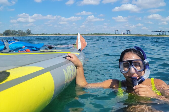 Beginner Friendly Island Snorkeling - Sandspur Island wildlife time: raccoons first, snorkeling second