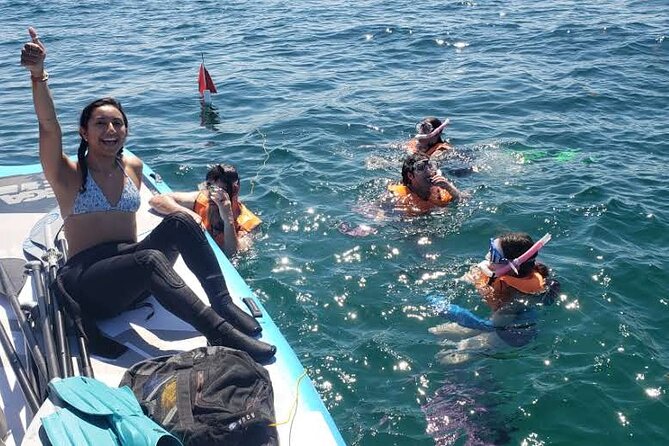 Beginner Friendly Island Snorkeling - Price and value: is $99 a fair deal here?
