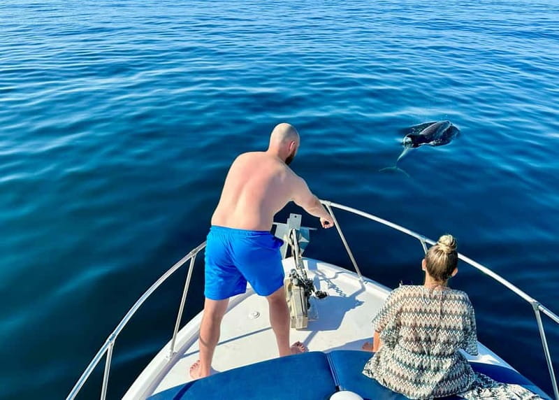 Benalmádena Boat Tour with Snorkeling, Water Slide and Lunch - Dolphins First: What the Wildlife Viewing Time Is Like