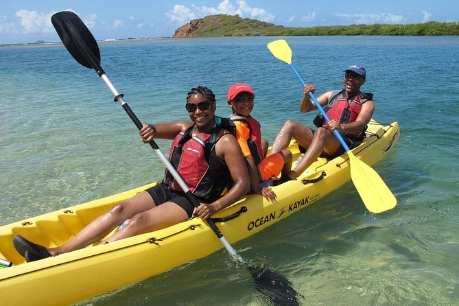 Best of Mangrove Lagoon Kayak, Hike and Snorkel Adventure with Picnic Lunch - Quick reasons this St Thomas kayak-hike-snorkel day is worth your time