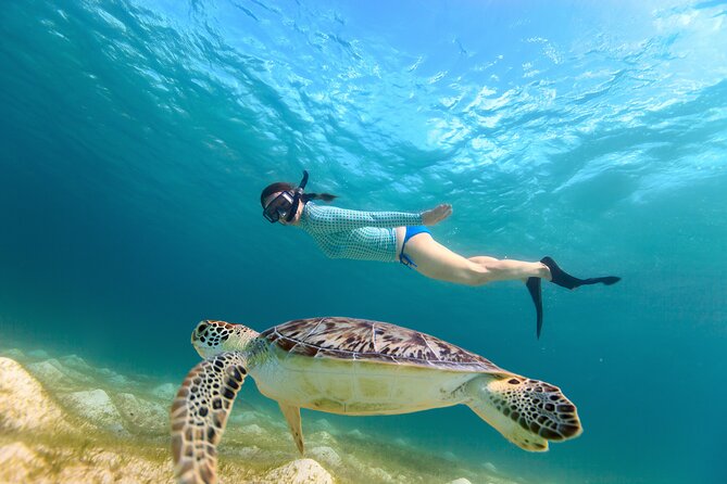 Best of Mangrove Lagoon Kayak, Hike and Snorkel Adventure with Picnic Lunch - How the Mangrove Lagoon Tour Works in Real Life