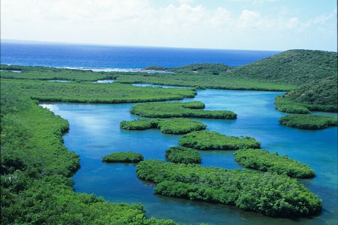 Best of Mangrove Lagoon Kayak, Hike and Snorkel Adventure with Picnic Lunch - Gear and What You Should Bring Yourself