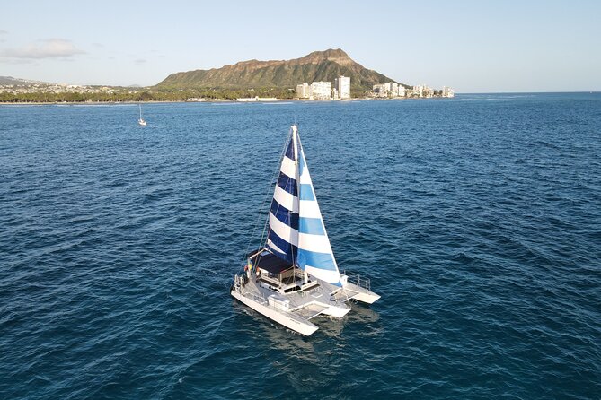 Best Waikiki Snorkel Tour: Guaranteed Turtles at Turtle Canyon - Spotting turtles the Turtle Canyon way: currents, visibility, and what else you might see