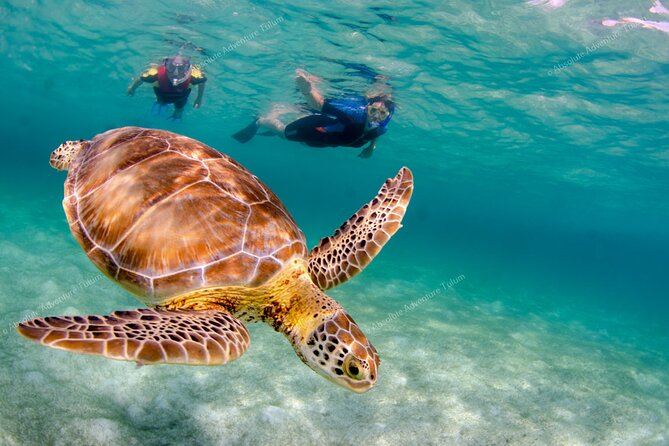 Bestseller! Tulum Private Tour with Turtles and Cenote Snorkeling - The Van Ride Details: Comfort That Helps You Enjoy the Day