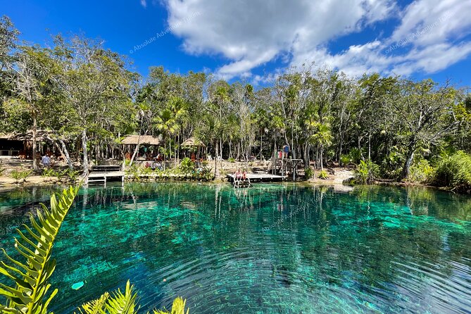 Bestseller! Tulum Private Tour with Turtles and Cenote Snorkeling - Should You Book This Tulum + Cenote + Turtle Private Tour?