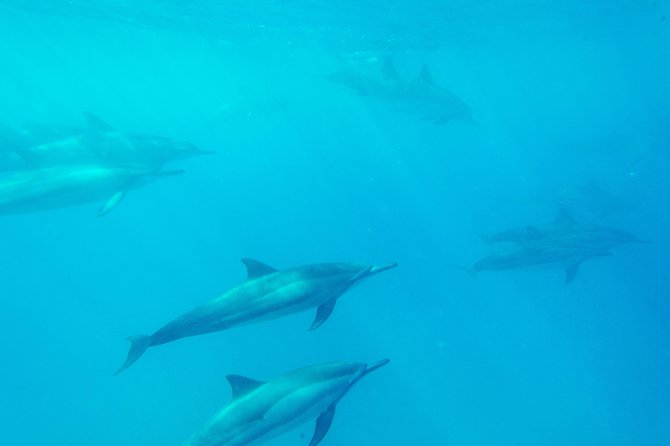 Big Island: Captain Cook Snorkel On A Power Catamaran With Lunch - Boat comfort and onboard extras: practical comfort beats fancy promises