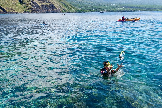 Big Island: Captain Cook Snorkel On A Power Catamaran With Lunch - Kona to Kealakekua Bay on a power catamaran: the ride is part of the day